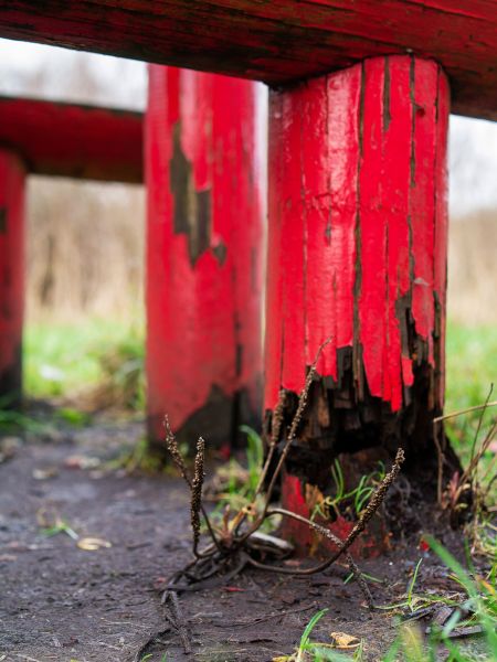 Cost of Rotten Column Replacement in Vista